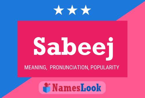 Sabeej Naam Poster