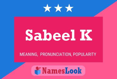 Sabeel K Naam Poster