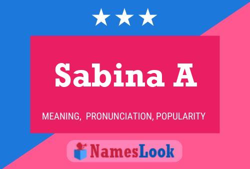 Sabina A Naam Poster