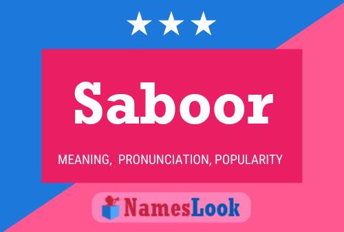 Saboor Naam Poster