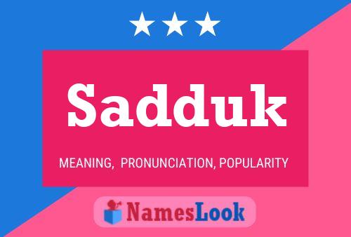 Sadduk Naam Poster