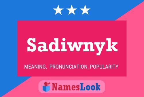 Sadiwnyk Naam Poster