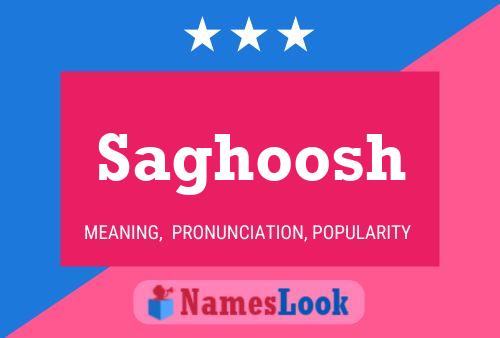 Saghoosh Naam Poster