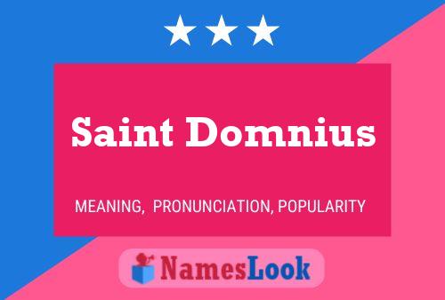 Saint Domnius Naam Poster