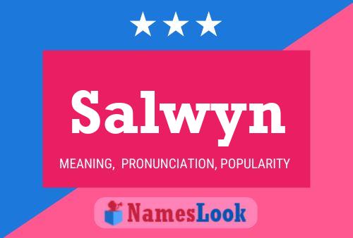 Salwyn Naam Poster