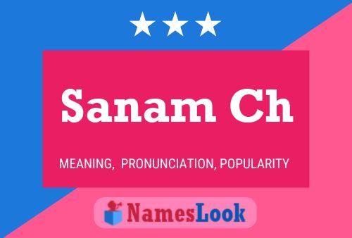 Sanam Ch Naam Poster