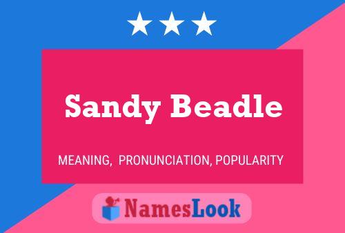 Sandy Beadle Naam Poster