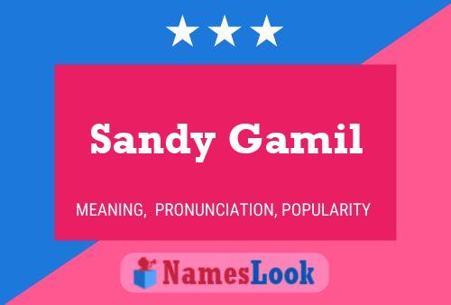 Sandy Gamil Naam Poster