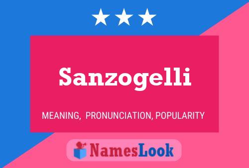 Sanzogelli Naam Poster