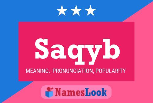 Saqyb Naam Poster