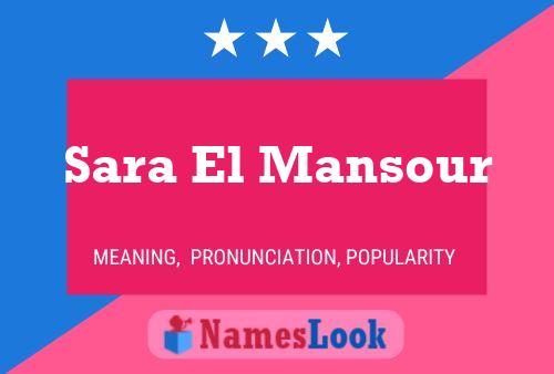 Sara El Mansour Naam Poster