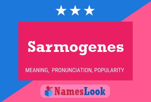 Sarmogenes Naam Poster