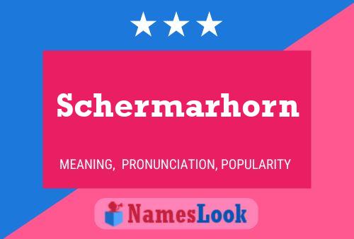 Schermarhorn Naam Poster