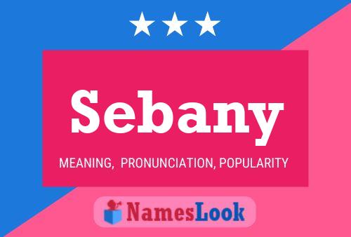 Sebany Naam Poster