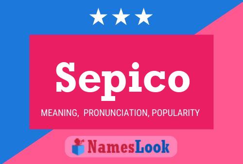 Sepico Naam Poster