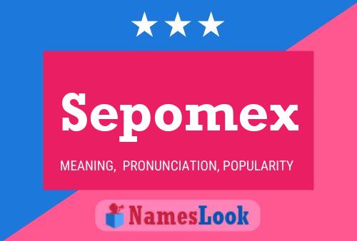 Sepomex Naam Poster