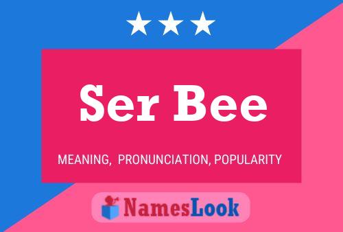 Ser Bee Naam Poster