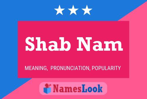 Shab Nam Naam Poster