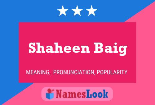 Shaheen Baig Naam Poster