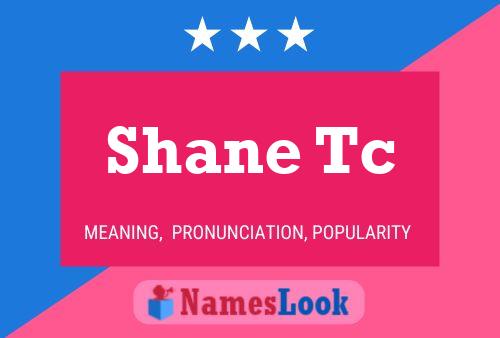 Shane Tc Naam Poster