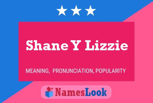 Shane Y Lizzie Naam Poster