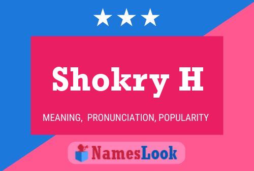 Shokry H Naam Poster