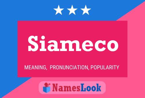 Siameco Naam Poster