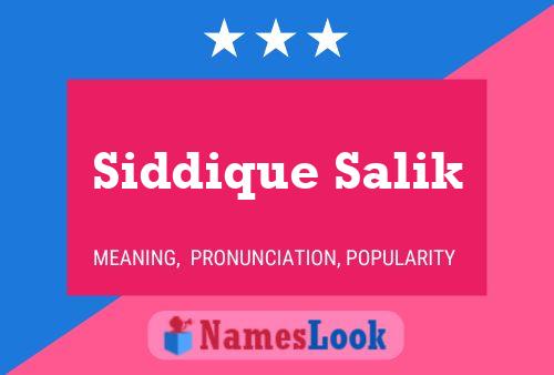 Siddique Salik Naam Poster