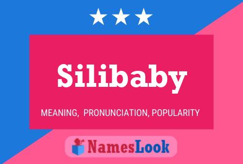 Silibaby Naam Poster