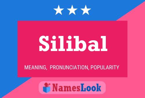 Silibal Naam Poster