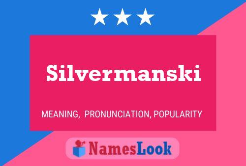 Silvermanski Naam Poster