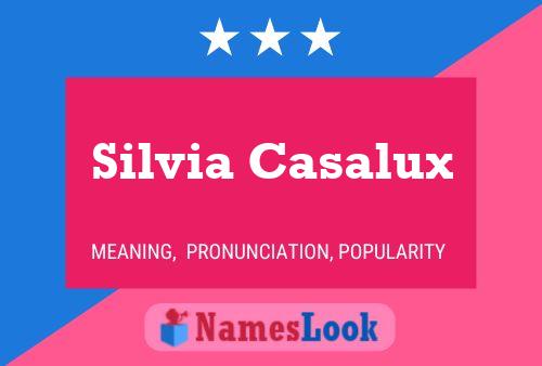 Silvia Casalux Naam Poster