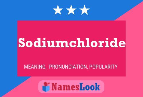 Sodiumchloride Naam Poster