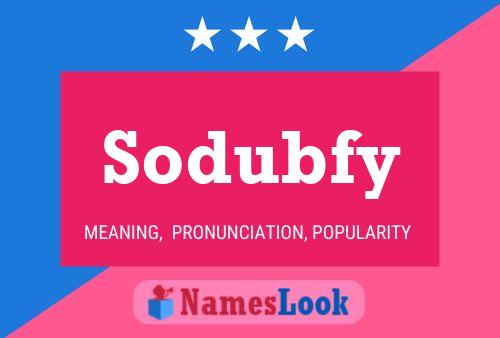 Sodubfy Naam Poster