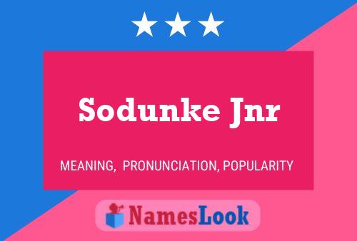 Sodunke Jnr Naam Poster