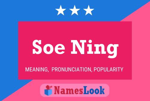 Soe Ning Naam Poster