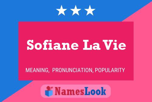 Sofiane La Vie Naam Poster