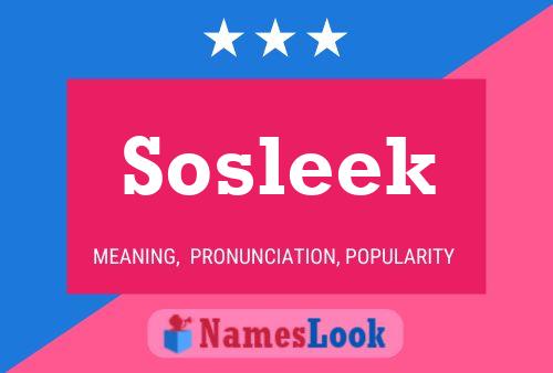 Sosleek Naam Poster