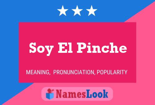 Soy El Pinche Naam Poster