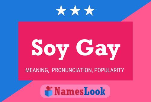 Soy Gay Naam Poster