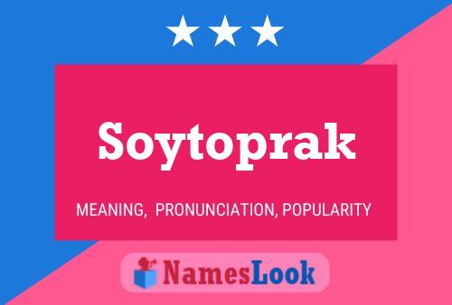 Soytoprak Naam Poster