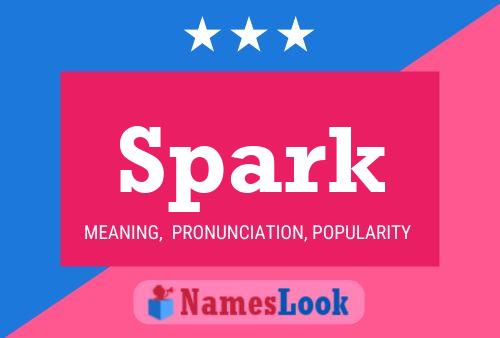 Spark Naam Poster