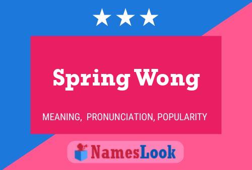 Spring Wong Naam Poster