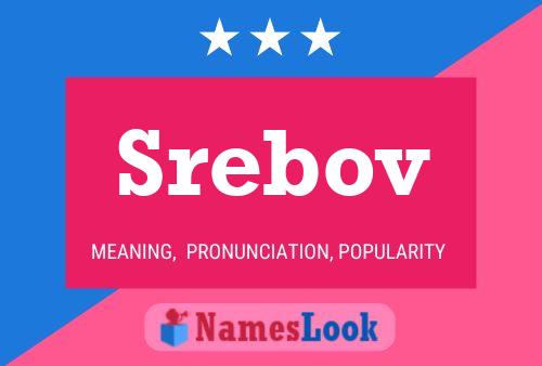 Srebov Naam Poster