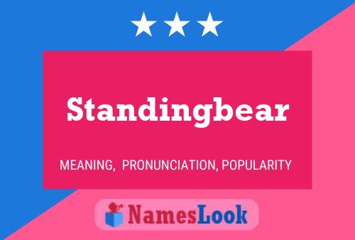 Standingbear Naam Poster