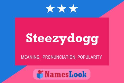 Steezydogg Naam Poster