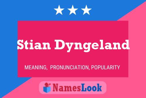 Stian Dyngeland Naam Poster