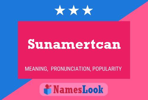 Sunamertcan Naam Poster