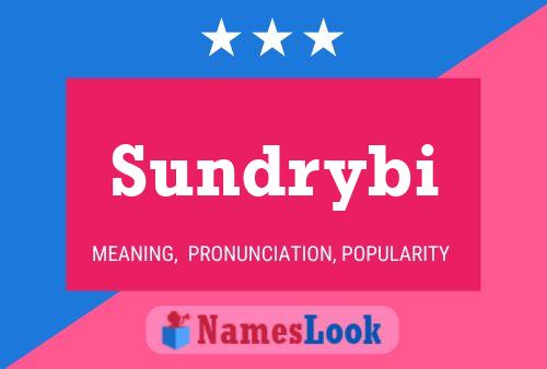 Sundrybi Naam Poster