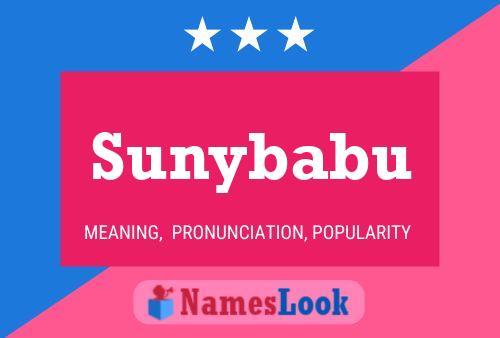 Sunybabu Naam Poster